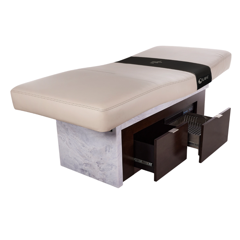 LEC INSIGNIA 2.0 WATERFALL Multi-Purpose Treatment Table with Replaceable Mattress - Image 3