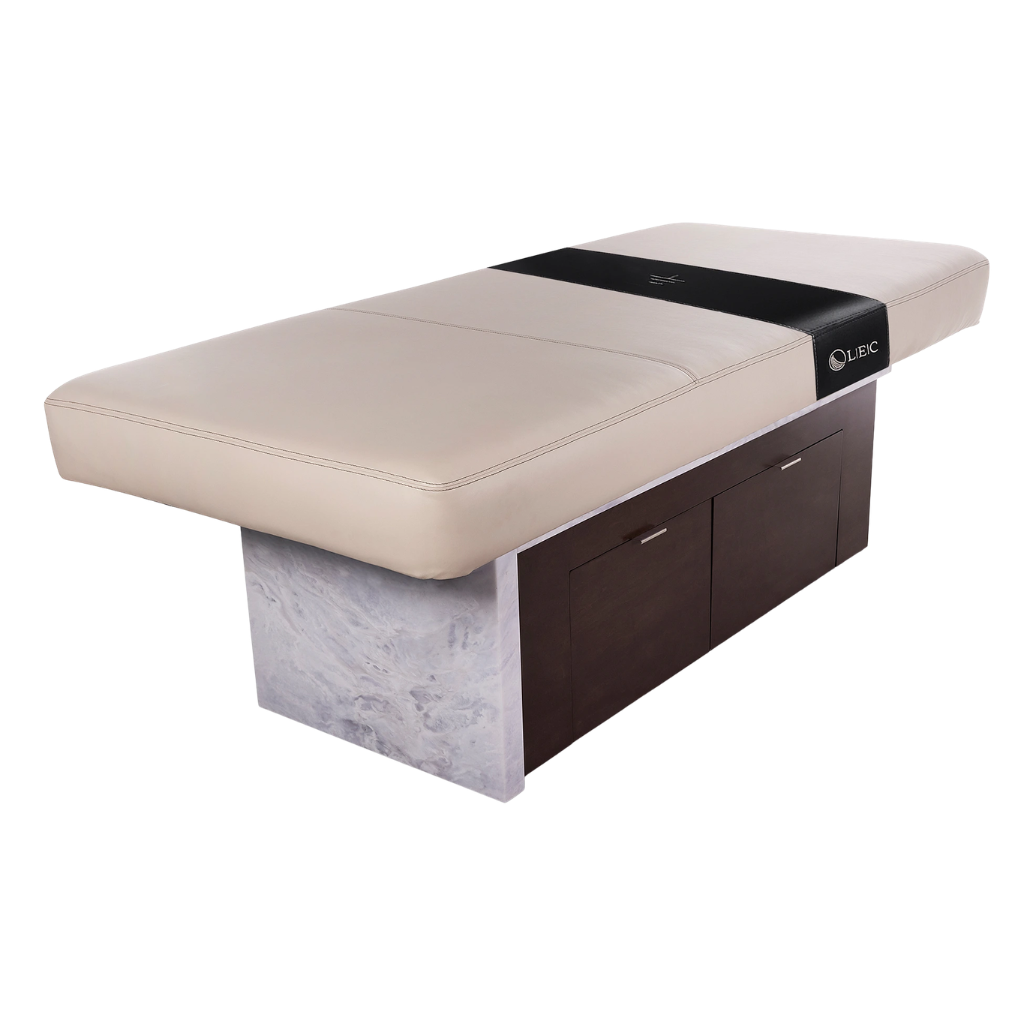 LEC INSIGNIA 2.0 WATERFALL Multi-Purpose Treatment Table with Replaceable Mattress - Image 2
