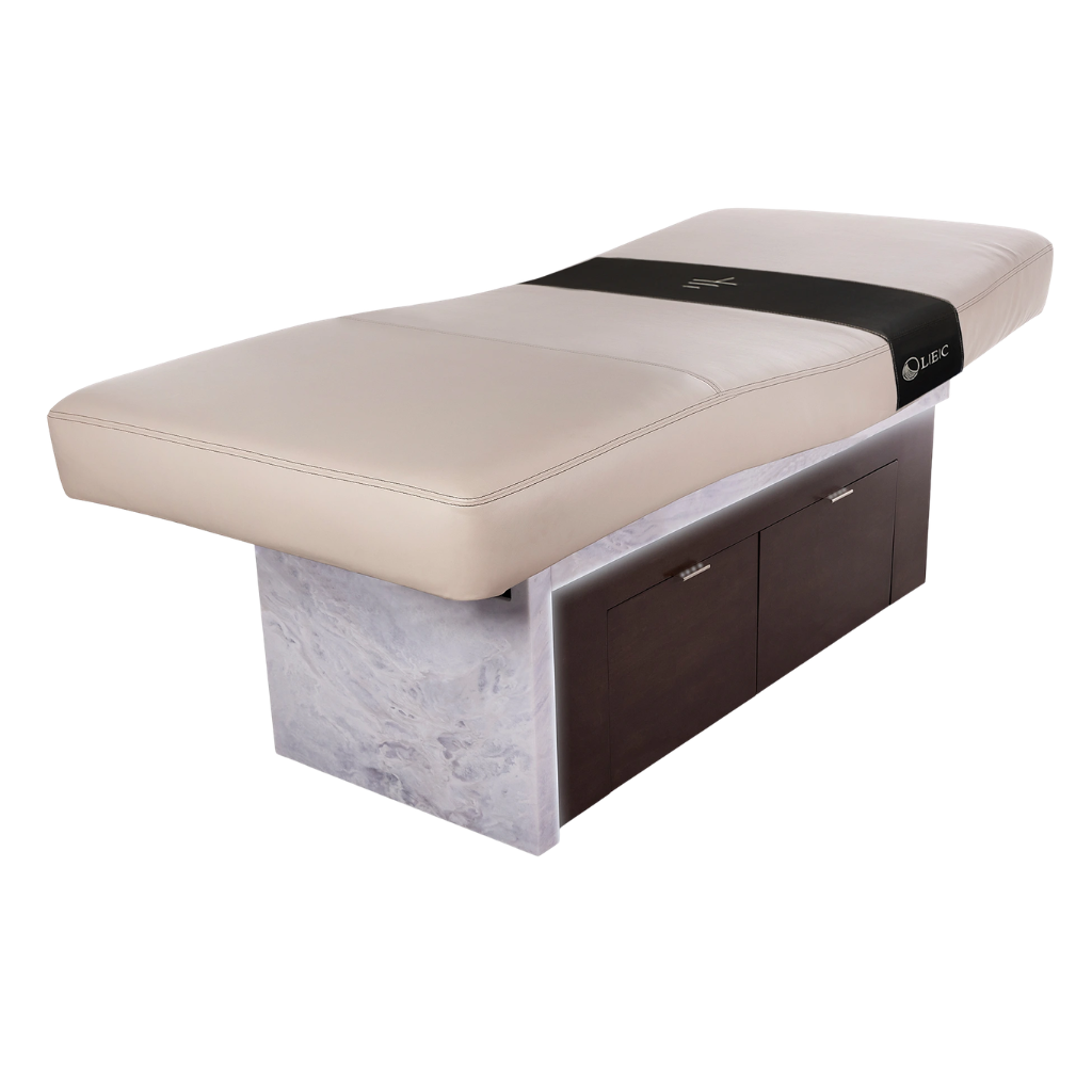 LEC INSIGNIA 2.0 WATERFALL Multi-Purpose Treatment Table with Replaceable Mattress