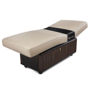 LEC INSIGNIA 2.0 WAVERLY Multi-Purpose Treatment Table with Replaceable Mattress