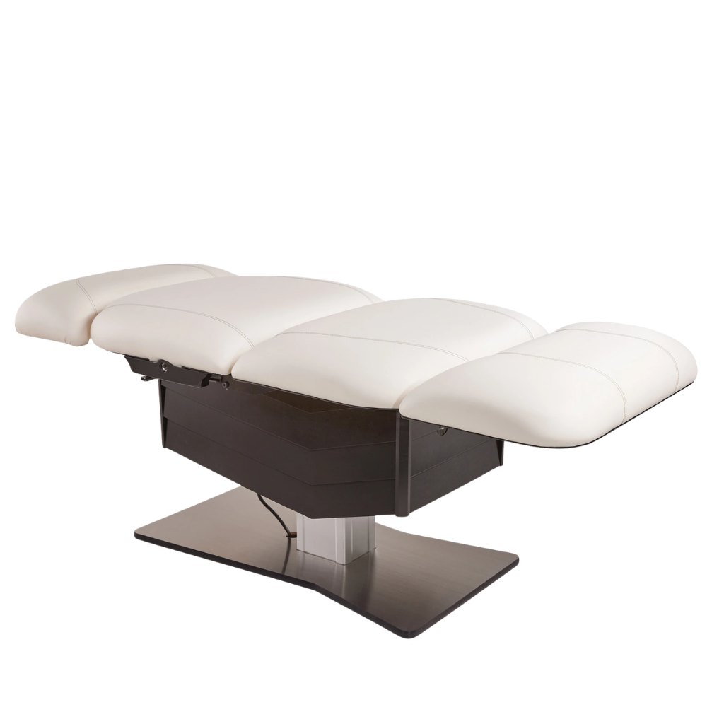 LEC Tribeca All-in-One Med Spa Chair - Image 4
