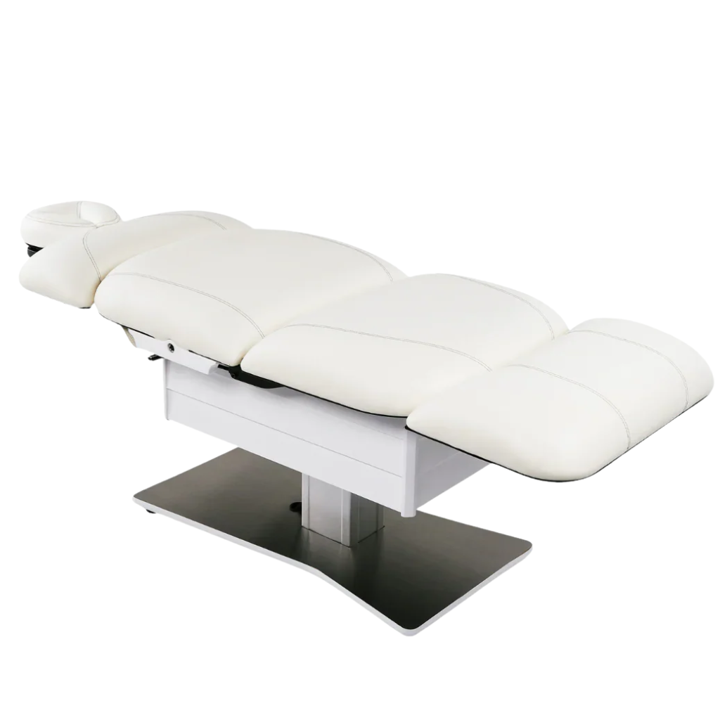 LEC Tribeca All-in-One Med Spa Chair - Image 6