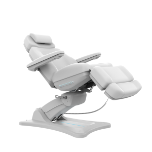 Modern Medical Spa Chair (2246BN)