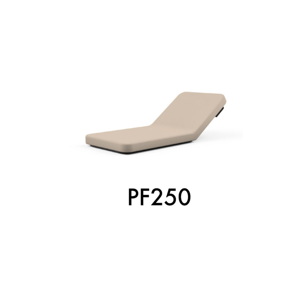 Oakworks PF Series Exam Tables PF250 - Image 2